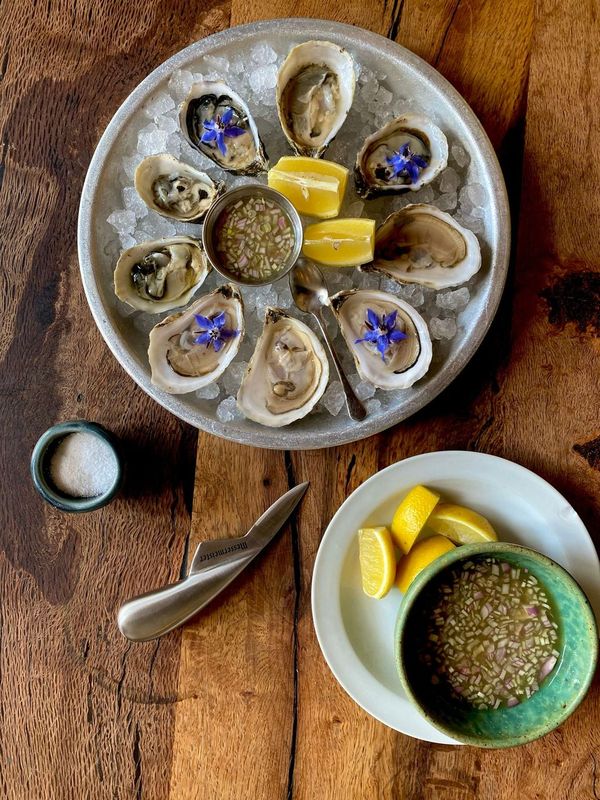 Oyster Knife