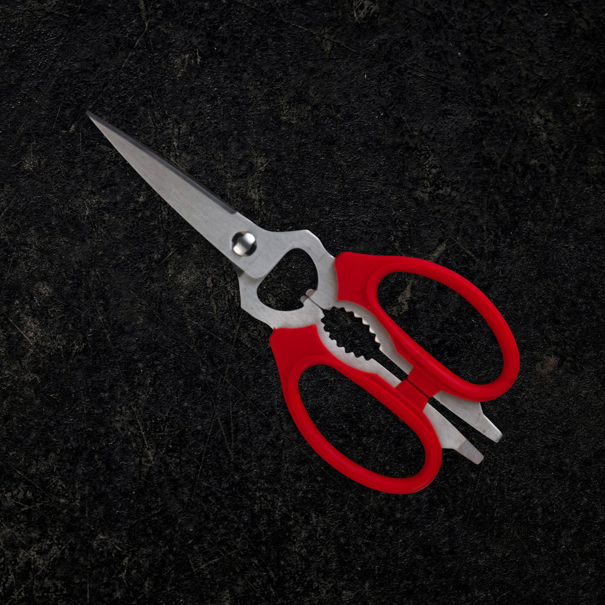 Take-Apart 20cm Kitchen Scissors Red