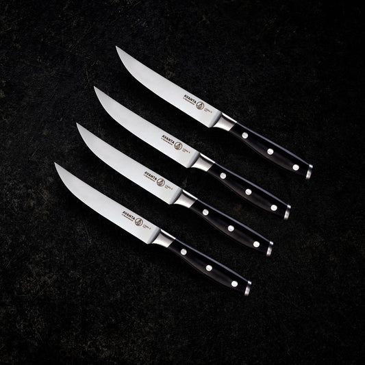 Avanta 20 Piece Steak Knife Set