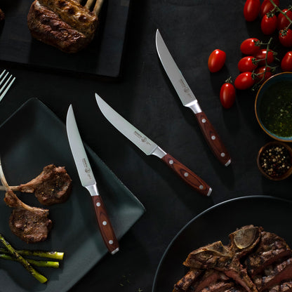 Avanta Pakkawood 4 Piece Fine Edge Steak Knife Set