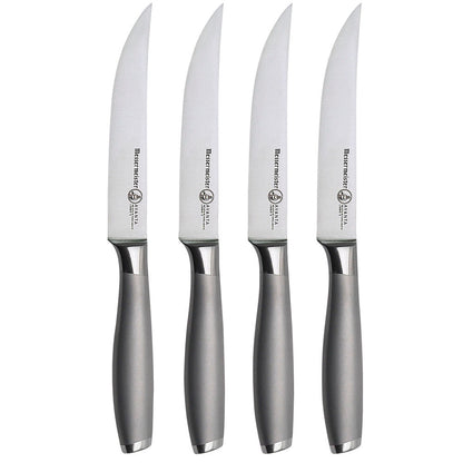 Stainless Steel Avanta 4 Piece Steak Knife Set